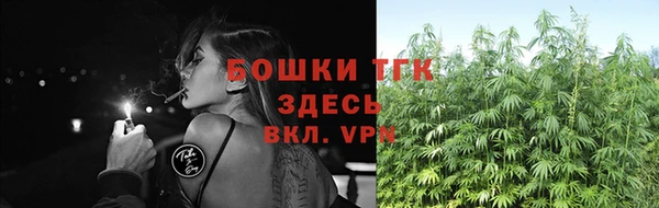 ALPHA PVP Верея