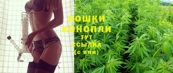 стаф Бронницы