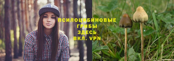 ALPHA PVP Верея
