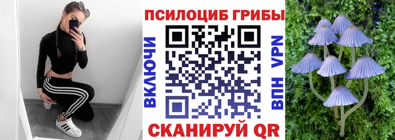 МЕГА вход  Выборг  Псилоцибиновые грибы мицелий  где купить  
