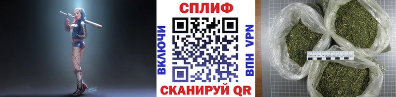Бошки Шишки конопля Выборг